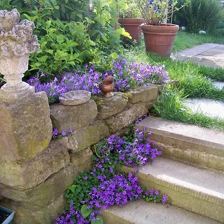 Appartement - Sonnenberg *